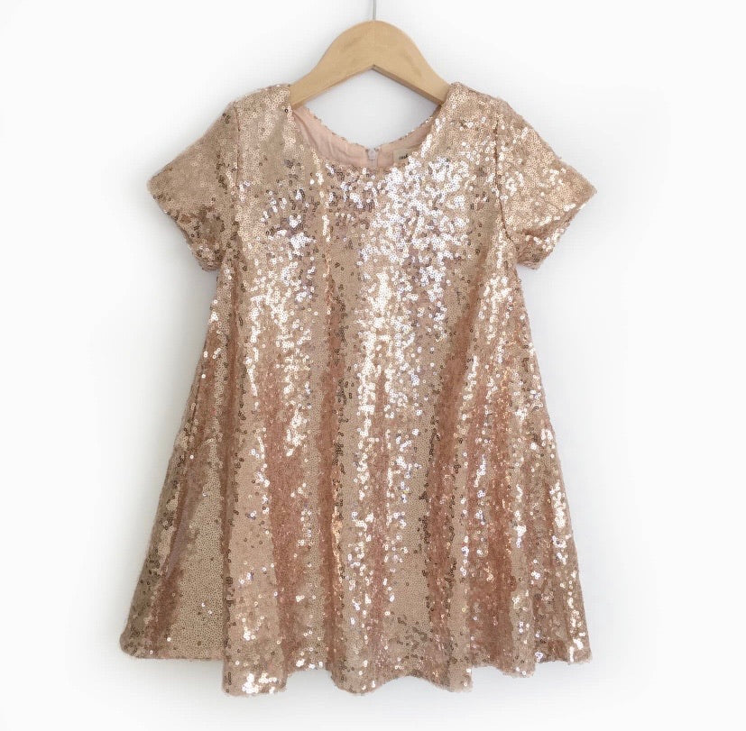 Phoebe Rose Sequin Dress